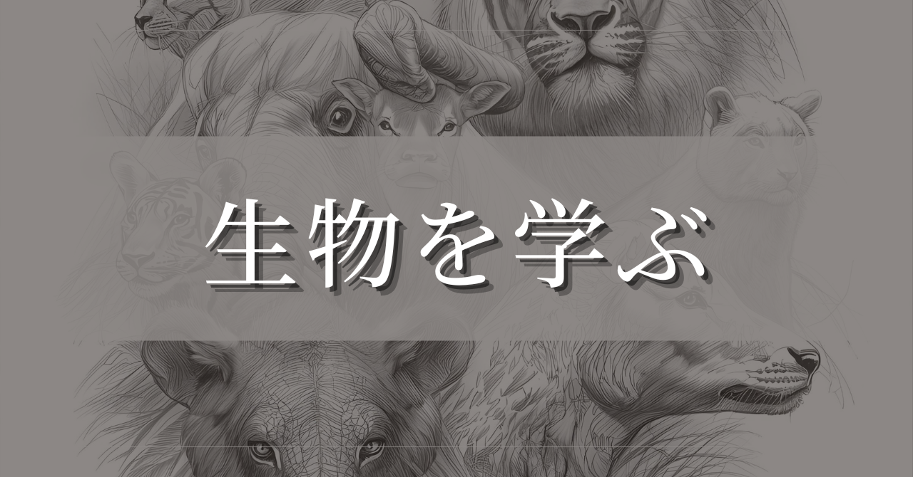生物