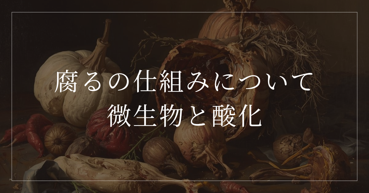 なぜ食べ物は腐るのか?実は「微生物と酸化」が止められない理由|腐敗の仕組みと防ぐ考え方 | モアイ研究所|生物を科学する、生命を考える