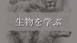 生物